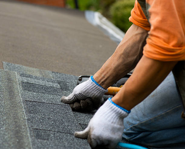 Professional Roofing Contractor in Westmoreland, TN